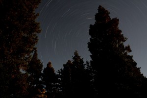 Star Trails over Mt. Graham, AZ                  